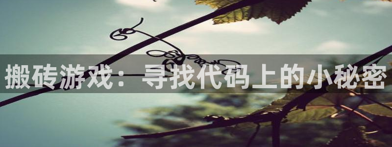 杏盛：搬砖游戏：寻找代码上的小秘密