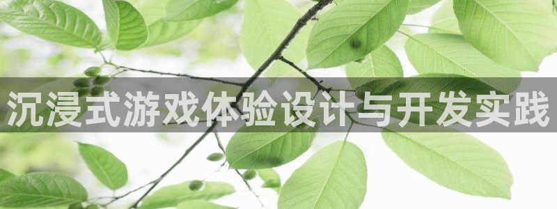 杏盛平台服务：沉浸式游戏体验设计与开发实践