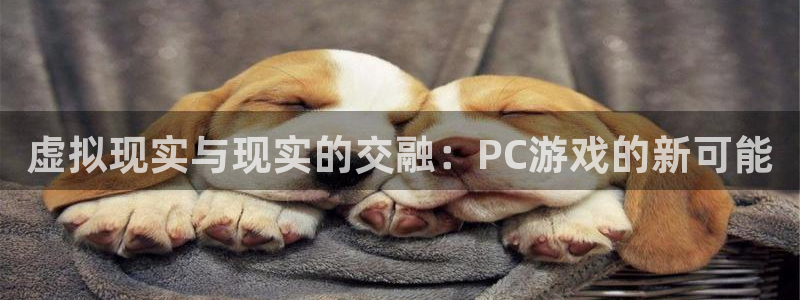 杏盛平台官网注册登录