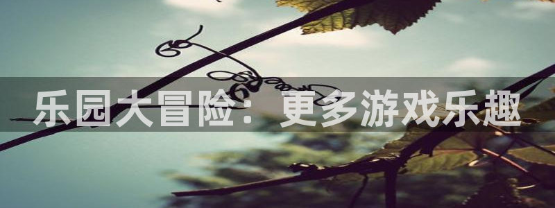 杏盛平台代理：乐园大冒险：更多游戏乐趣