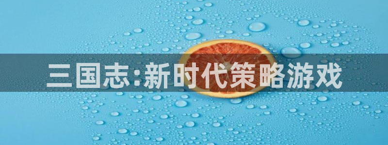 杏盛：三国志:新时代策略游戏