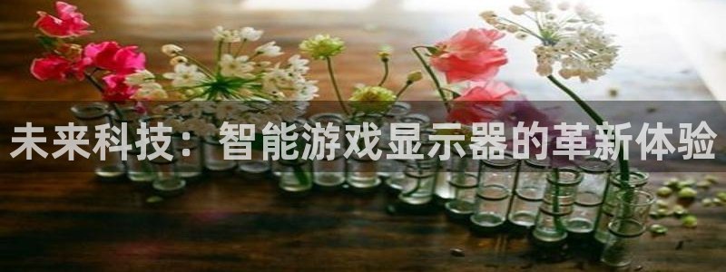 杏盛平台官网注册登录：未来科技：智能游戏显示器的革新体验