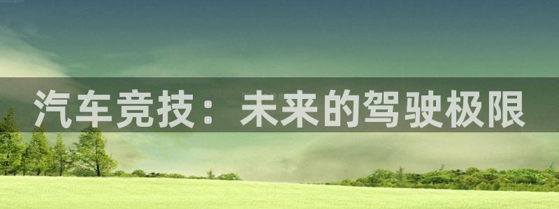 杏盛注册：汽车竞技：未来的驾驶极限