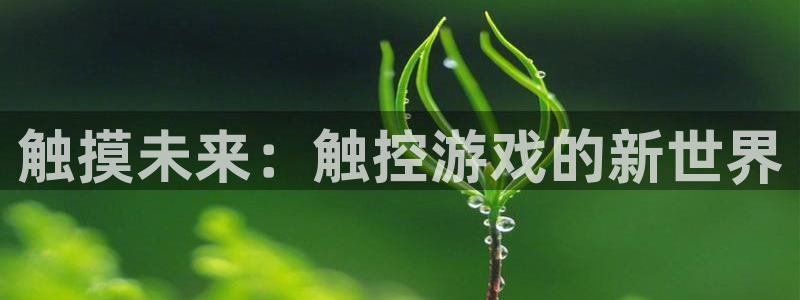 杏盛注册平台官方网站：触摸未来：触控游戏的新世界